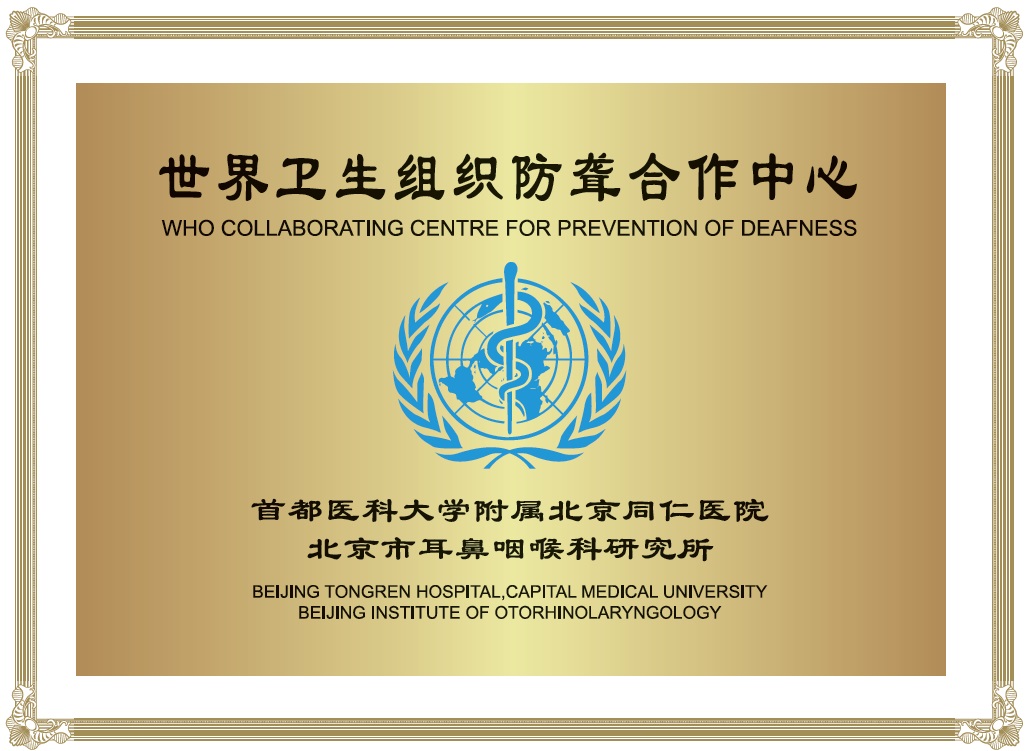 2-世界卫生组织防聋合作中心.jpg