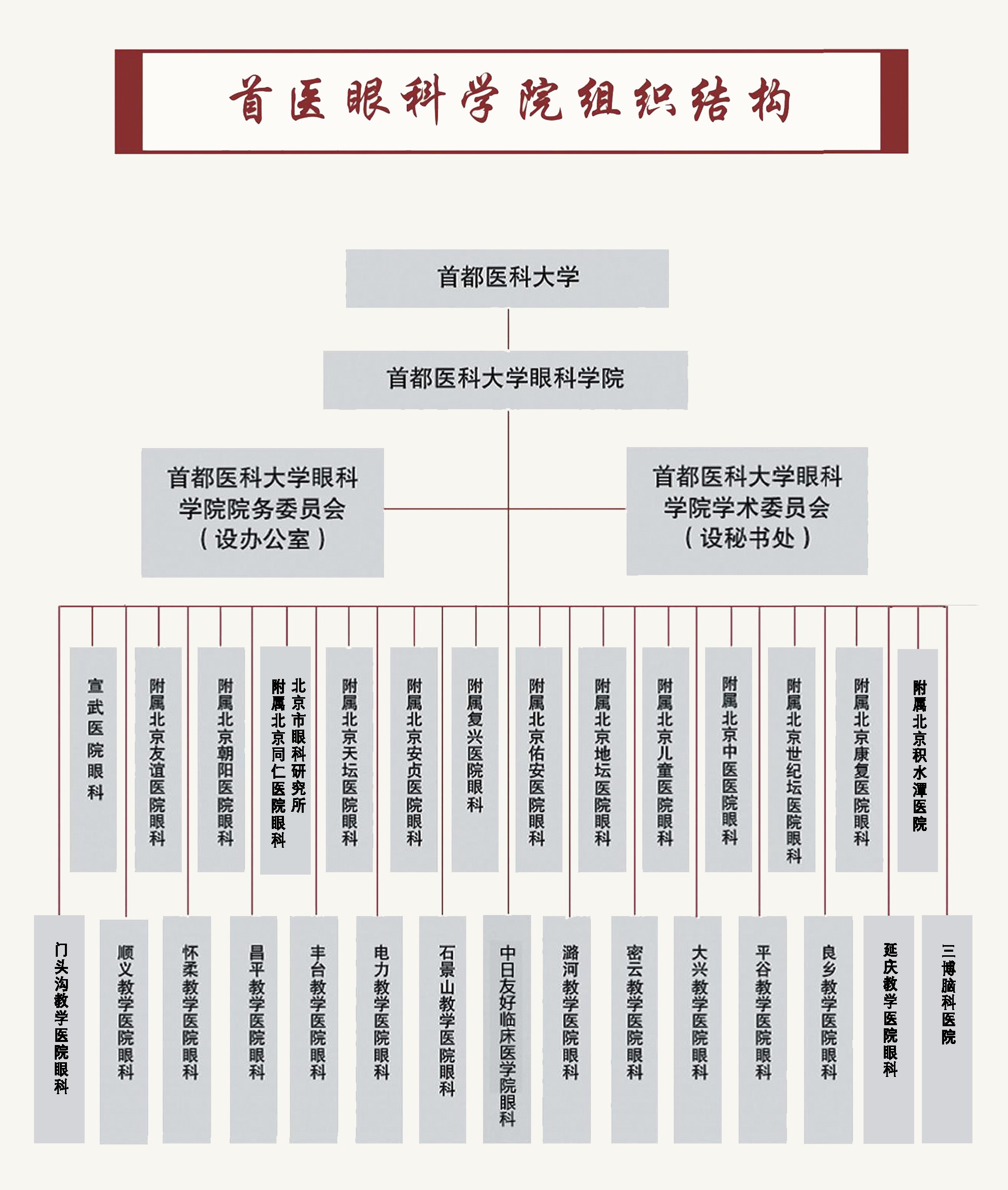 眼科学院组织结构new.jpg